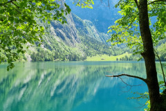 Obersee